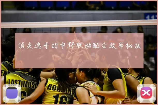 顶尖选手的中野联动配合效率秘诀
