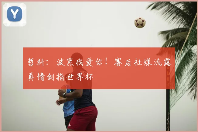 哲科:波黑我爱你!赛后社媒流露真情剑指世界杯