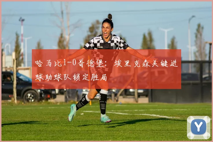 哈马比1-0哥德堡:埃里克森关键进球助球队锁定胜局