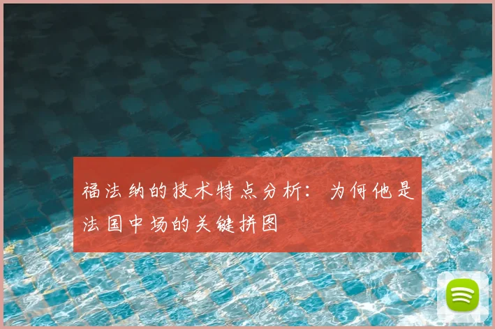 福法纳的技术特点分析：为何他是法国中场的关键拼图